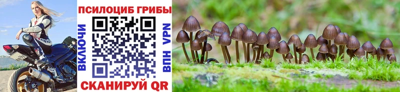 Псилоцибиновые грибы мухоморы  даркнет формула  Барнаул 